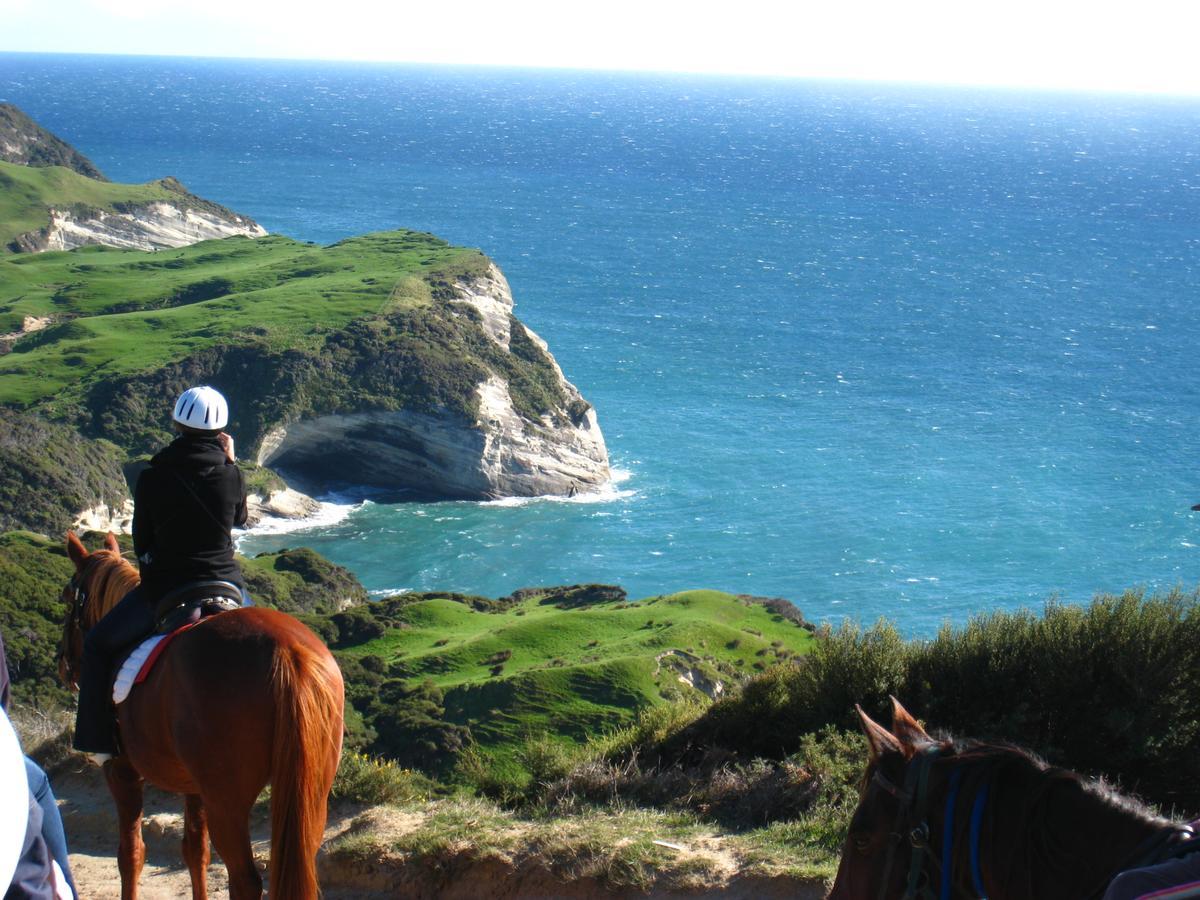 Annies Nirvana Lodge Backpackers Takaka Dış mekan fotoğraf